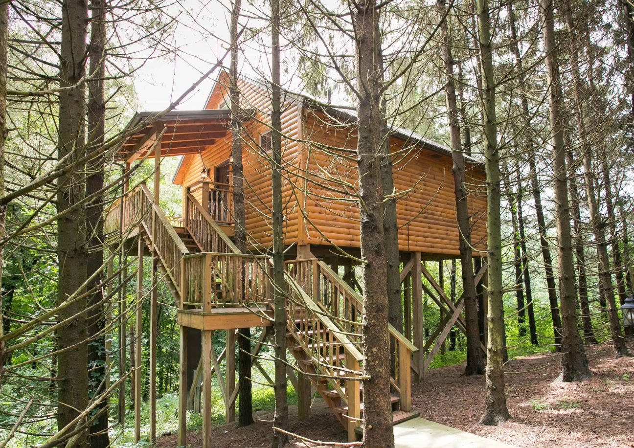Whispering Pines Treehouse nestled among the pines